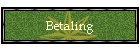 Betaling