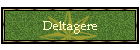 Deltagere